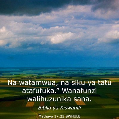 Picture 03 - Mathayo 17:23 SWHULB - Na watamwua, na siku ya tatu atafufuka.” - Bible Verse Picture