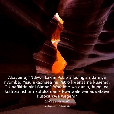 Picture 03 - Mathayo 17:25 SWHULB - Akasema, “Ndiyo” Lakini Petro alipoingia - Bible Verse Picture