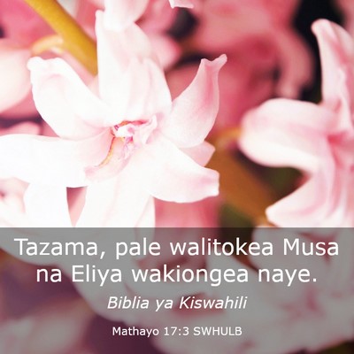 Picture 03 - Mathayo 17:3 SWHULB - Tazama, pale walitokea Musa na Eliya wakiongea - Bible Verse Picture
