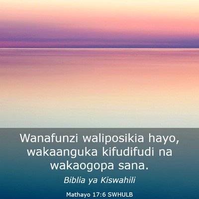 Picture 03 - Mathayo 17:6 SWHULB - Wanafunzi waliposikia hayo, wakaanguka kifudifudi - Bible Verse Picture
