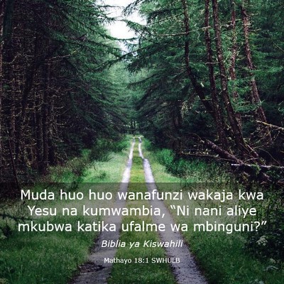 Picture 03 - Mathayo 18:1 SWHULB - Muda huo huo wanafunzi wakaja kwa Yesu na - Bible Verse Picture