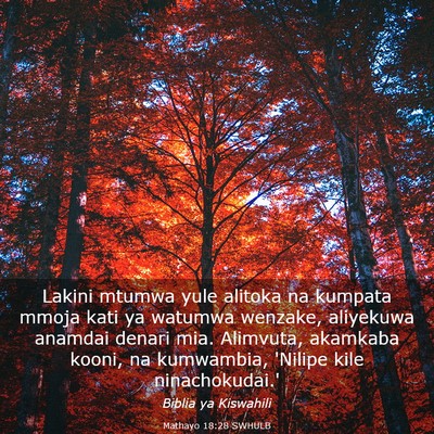 Picture 03 - Mathayo 18:28 SWHULB - Lakini mtumwa yule alitoka na kumpata mmoja kati - Bible Verse Picture