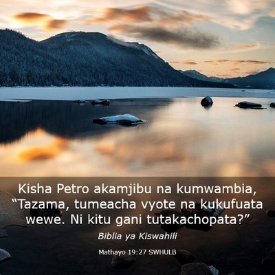 Picture 03 - Mathayo 19:27 SWHULB - Kisha Petro akamjibu na kumwambia, “Tazama, - Bible Verse Picture