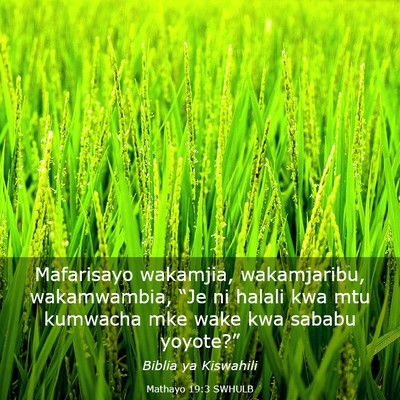 Picture 03 - Mathayo 19:3 SWHULB - Mafarisayo wakamjia, wakamjaribu, wakamwambia, - Bible Verse Picture