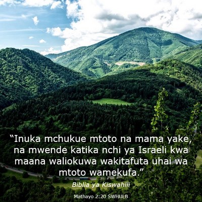Picture 03 - Mathayo 2:20 SWHULB - “Inuka mchukue mtoto na mama yake, na mwende - Bible Verse Picture
