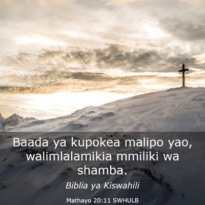 Picture 03 - Mathayo 20:11 SWHULB - Baada ya kupokea malipo yao, walimlalamikia - Bible Verse Picture