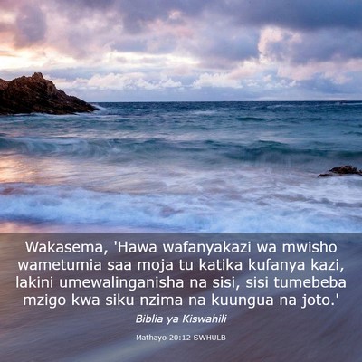 Picture 03 - Mathayo 20:12 SWHULB - Wakasema, 'Hawa wafanyakazi wa mwisho wametumia - Bible Verse Picture
