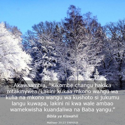 Picture 03 - Mathayo 20:23 SWHULB - Akawaambia, “Kikombe changu hakika mtakinywea. - Bible Verse Picture