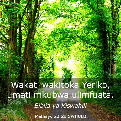Picture 03 - Mathayo 20:29 SWHULB - Wakati wakitoka Yeriko, umati mkubwa - Bible Verse Picture