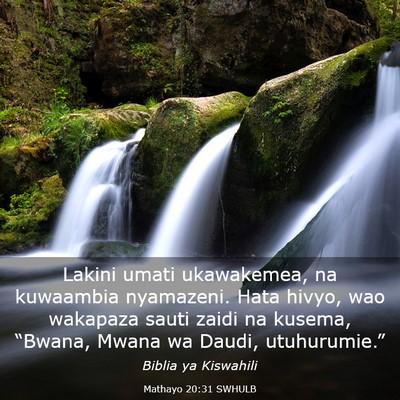 Picture 03 - Mathayo 20:31 SWHULB - Lakini umati ukawakemea, na kuwaambia nyamazeni. - Bible Verse Picture