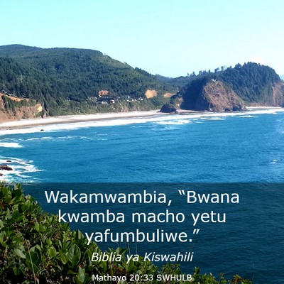 Picture 03 - Mathayo 20:33 SWHULB - Wakamwambia, “Bwana kwamba macho yetu - Bible Verse Picture