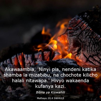 Picture 03 - Mathayo 20:4 SWHULB - Akawaambia, 'Ninyi pia, nendeni katika shamba la - Bible Verse Picture