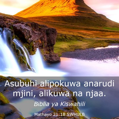 Picture 03 - Mathayo 21:18 SWHULB - Asubuhi alipokuwa anarudi mjini, alikuwa na - Bible Verse Picture