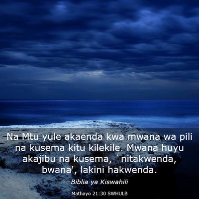 Picture 03 - Mathayo 21:30 SWHULB - Na Mtu yule akaenda kwa mwana wa pili na kusema - Bible Verse Picture