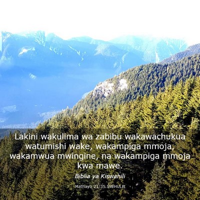 Picture 03 - Mathayo 21:35 SWHULB - Lakini wakulima wa zabibu wakawachukua watumishi - Bible Verse Picture