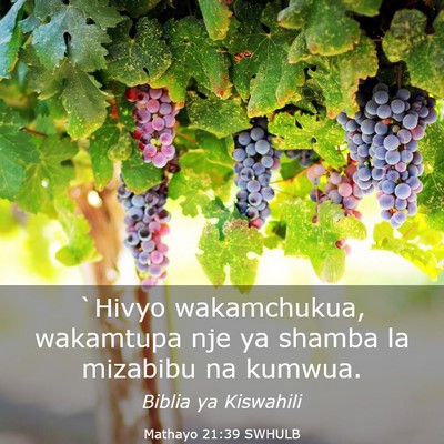 Picture 03 - Mathayo 21:39 SWHULB - `Hivyo wakamchukua, wakamtupa nje ya shamba la - Bible Verse Picture