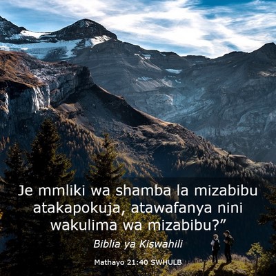 Picture 03 - Mathayo 21:40 SWHULB - Je mmliki wa shamba la mizabibu atakapokuja, - Bible Verse Picture