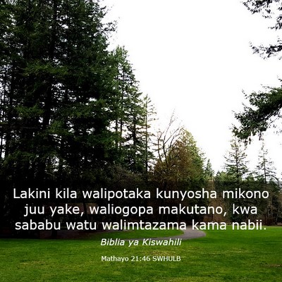 Picture 03 - Mathayo 21:46 SWHULB - Lakini kila walipotaka kunyosha mikono juu yake, - Bible Verse Picture