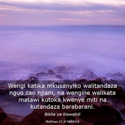 Picture 03 - Mathayo 21:8 SWHULB - Wengi katika mkusanyiko walitandaza nguo zao - Bible Verse Picture