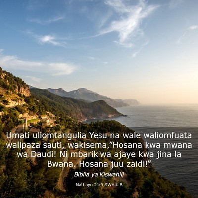 Picture 03 - Mathayo 21:9 SWHULB - Umati uliomtangulia Yesu na wale waliomfuata - Bible Verse Picture