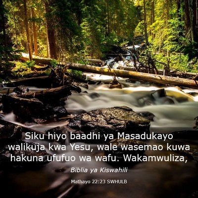 Picture 03 - Mathayo 22:23 SWHULB - Siku hiyo baadhi ya Masadukayo walikuja kwa Yesu, - Bible Verse Picture