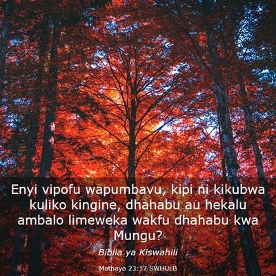 Picture 03 - Mathayo 23:17 SWHULB - Enyi vipofu wapumbavu, kipi ni kikubwa kuliko - Bible Verse Picture