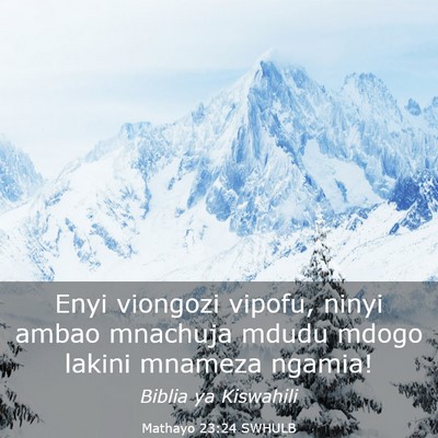 Picture 03 - Mathayo 23:24 SWHULB - Enyi viongozi vipofu, ninyi ambao mnachuja mdudu - Bible Verse Picture
