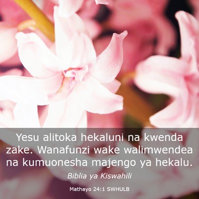 Picture 03 - Mathayo 24:1 SWHULB - Yesu alitoka hekaluni na kwenda zake. Wanafunzi - Bible Verse Picture