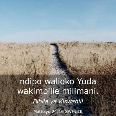 Picture 03 - Mathayo 24:16 SWHULB - ndipo walioko Yuda wakimbilie - Bible Verse Picture