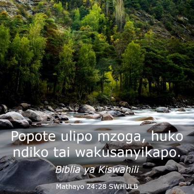 Picture 03 - Mathayo 24:28 SWHULB - Popote ulipo mzoga, huko ndiko tai - Bible Verse Picture