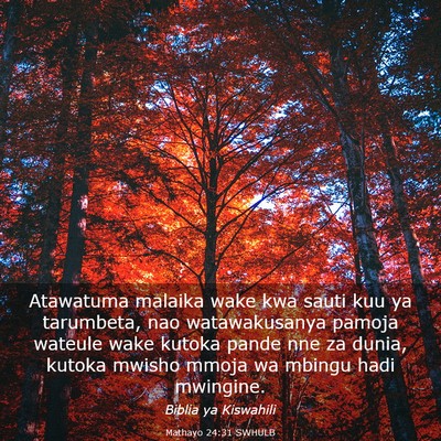 Picture 03 - Mathayo 24:31 SWHULB - Atawatuma malaika wake kwa sauti kuu ya - Bible Verse Picture