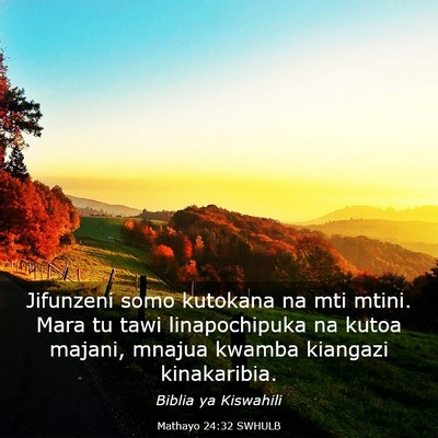 Picture 03 - Mathayo 24:32 SWHULB - Jifunzeni somo kutokana na mti mtini. Mara tu - Bible Verse Picture