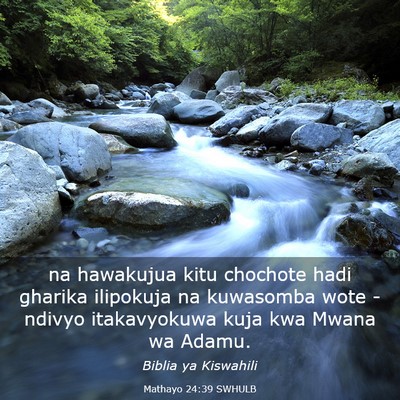 Picture 03 - Mathayo 24:39 SWHULB - na hawakujua kitu chochote hadi gharika ilipokuja - Bible Verse Picture