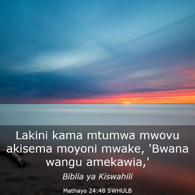 Picture 03 - Mathayo 24:48 SWHULB - Lakini kama mtumwa mwovu akisema moyoni mwake, - Bible Verse Picture