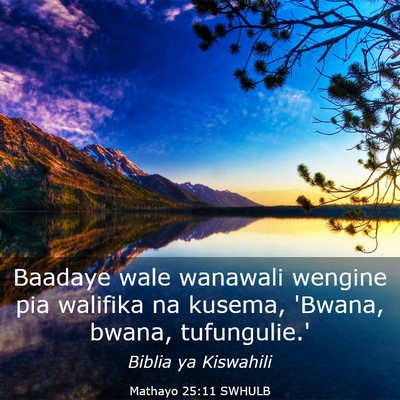 Picture 03 - Mathayo 25:11 SWHULB - Baadaye wale wanawali wengine pia walifika na - Bible Verse Picture