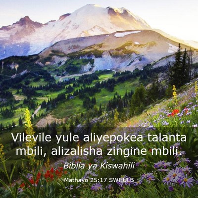 Picture 03 - Mathayo 25:17 SWHULB - Vilevile yule aliyepokea talanta mbili, - Bible Verse Picture