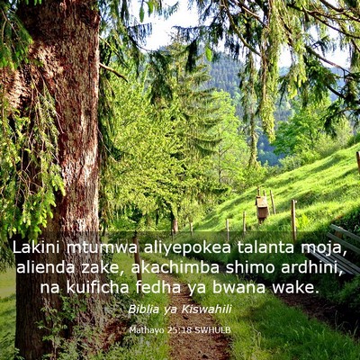 Picture 03 - Mathayo 25:18 SWHULB - Lakini mtumwa aliyepokea talanta moja, alienda - Bible Verse Picture