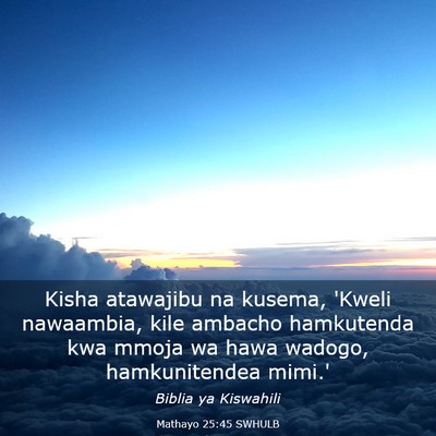 Picture 03 - Mathayo 25:45 SWHULB - Kisha atawajibu na kusema, 'Kweli nawaambia, kile - Bible Verse Picture