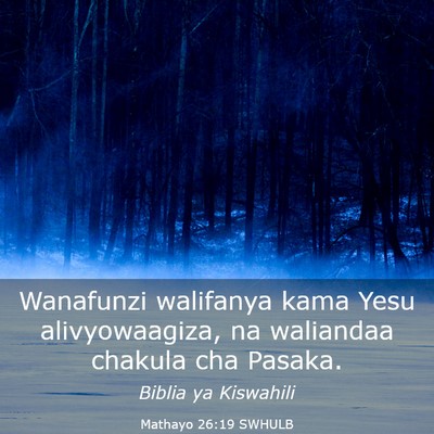 Picture 03 - Mathayo 26:19 SWHULB - Wanafunzi walifanya kama Yesu alivyowaagiza, na - Bible Verse Picture