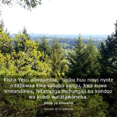 Picture 03 - Mathayo 26:31 SWHULB - Kisha Yesu aliwaambia, “Usiku huu ninyi nyote - Bible Verse Picture