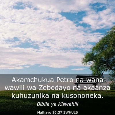 Picture 03 - Mathayo 26:37 SWHULB - Akamchukua Petro na wana wawili wa Zebedayo na - Bible Verse Picture