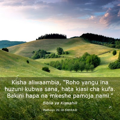 Picture 03 - Mathayo 26:38 SWHULB - Kisha aliwaambia, “Roho yangu ina huzuni kubwa - Bible Verse Picture