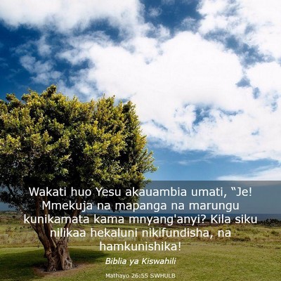 Picture 03 - Mathayo 26:55 SWHULB - Wakati huo Yesu akauambia umati, “Je! Mmekuja - Bible Verse Picture