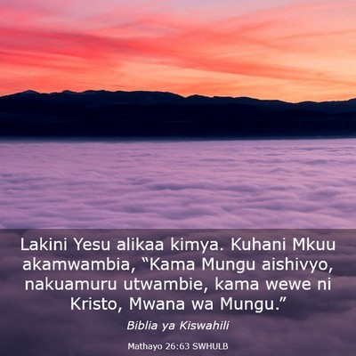 Picture 03 - Mathayo 26:63 SWHULB - Lakini Yesu alikaa kimya. Kuhani Mkuu akamwambia, - Bible Verse Picture
