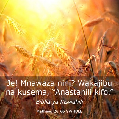 Picture 03 - Mathayo 26:66 SWHULB - Je! Mnawaza nini? Wakajibu na kusema, - Bible Verse Picture