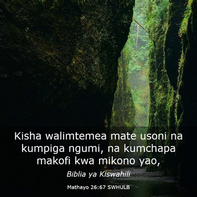 Picture 03 - Mathayo 26:67 SWHULB - Kisha walimtemea mate usoni na kumpiga ngumi, na - Bible Verse Picture