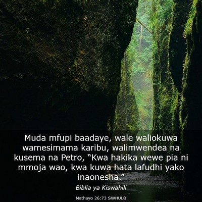 Picture 03 - Mathayo 26:73 SWHULB - Muda mfupi baadaye, wale waliokuwa wamesimama - Bible Verse Picture