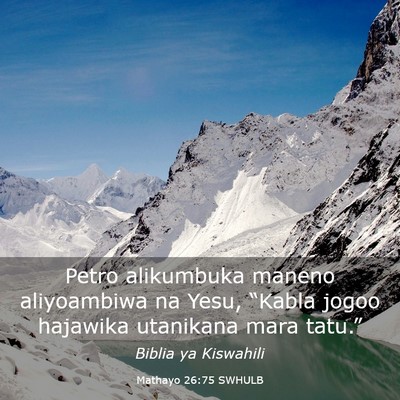 Picture 03 - Mathayo 26:75 SWHULB - Petro alikumbuka maneno aliyoambiwa na Yesu, - Bible Verse Picture