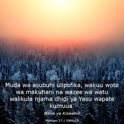 Picture 03 - Mathayo 27:1 SWHULB - Muda wa asubuhi ulipofika, wakuu wote wa makuhani - Bible Verse Picture