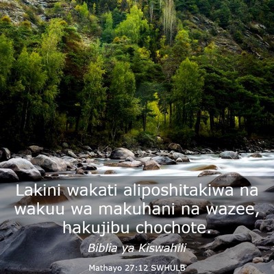 Picture 03 - Mathayo 27:12 SWHULB - Lakini wakati aliposhitakiwa na wakuu wa makuhani - Bible Verse Picture
